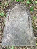 image of grave number 331502